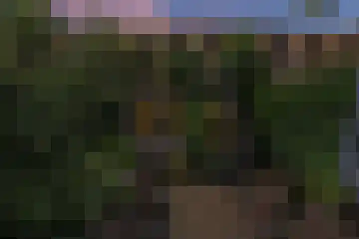 Mecklenburglaan 12 Utrecht thumbnail 36