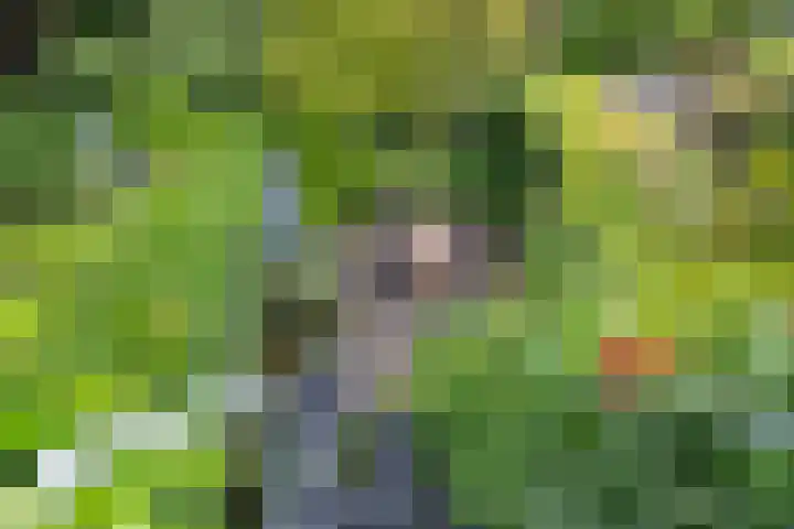Mecklenburglaan 12 Utrecht thumbnail 37