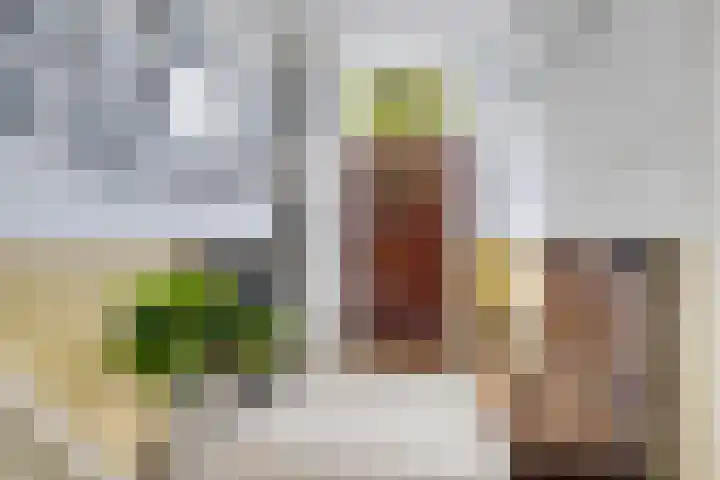 Mecklenburglaan 12 Utrecht thumbnail 4