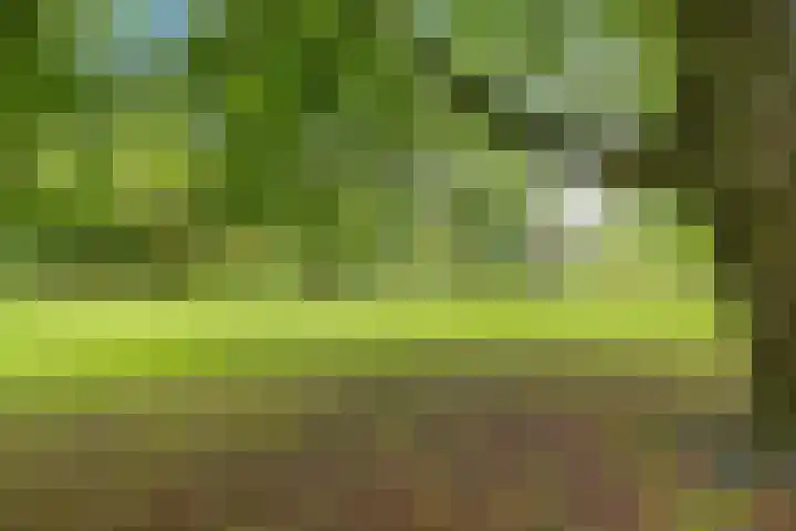 Mecklenburglaan 12 Utrecht thumbnail 40