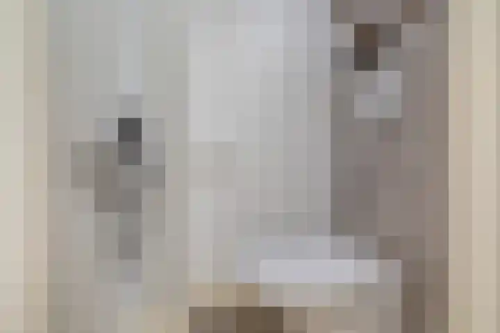 Mecklenburglaan 12 Utrecht thumbnail 7