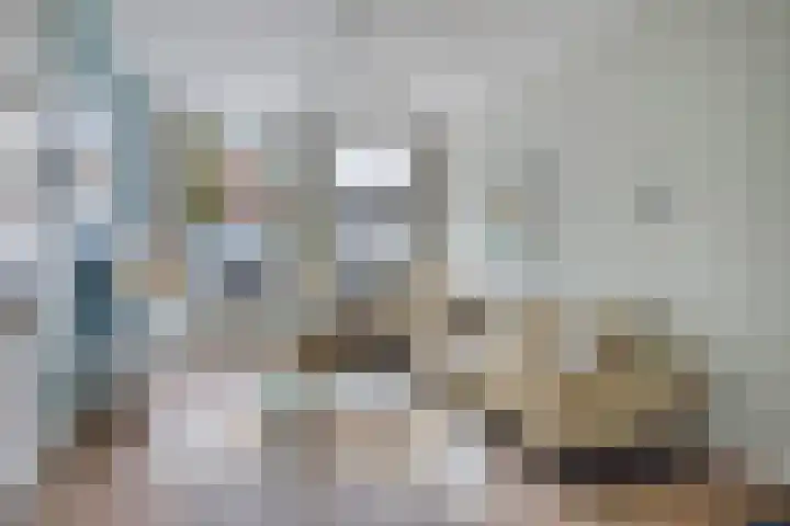 Mecklenburglaan 12 Utrecht thumbnail 8