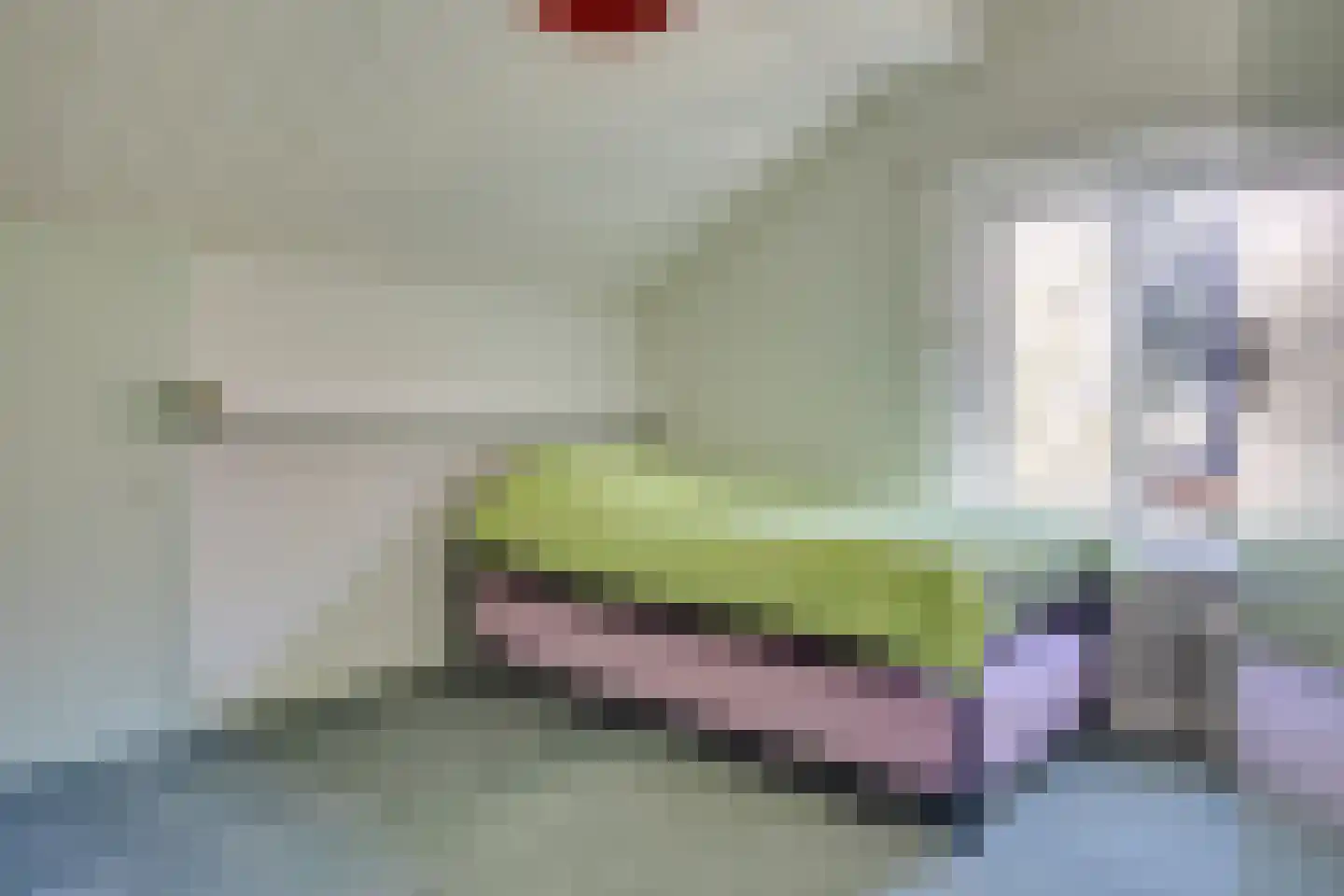 Mecklenburglaan 15 Harderwijk thumbnail 25