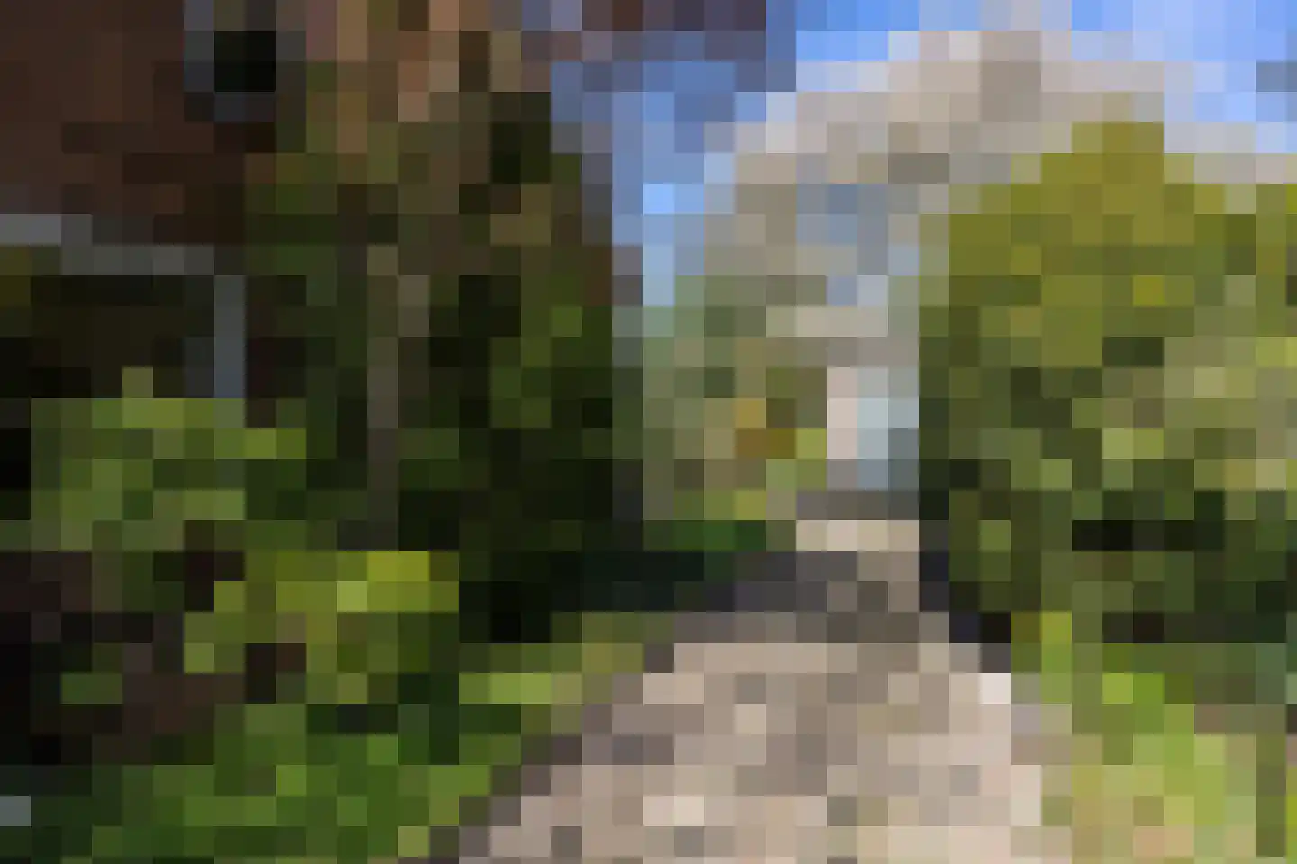 Mecklenburglaan 15 Harderwijk thumbnail 26