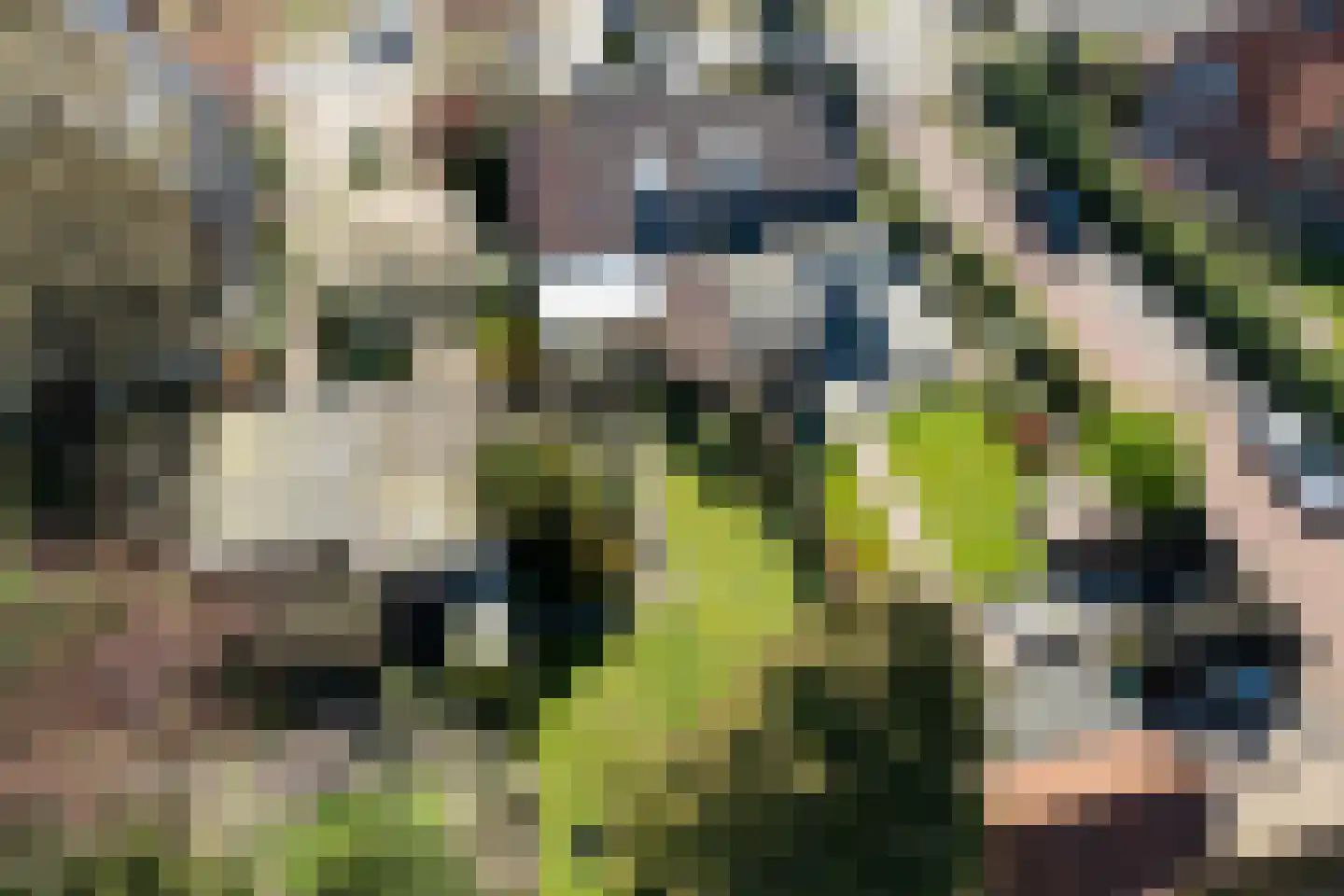 Mecklenburglaan 15 Harderwijk thumbnail 32