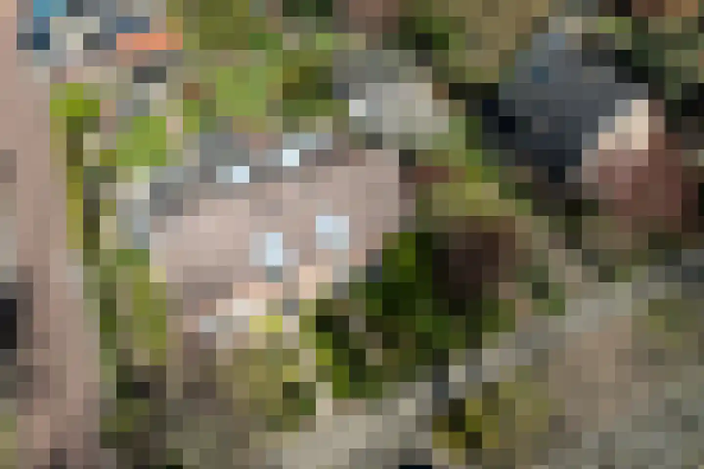 Mecklenburglaan 15 Harderwijk thumbnail 37