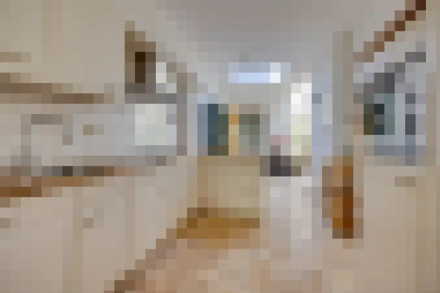 Mecklenburglaan 15 Harderwijk thumbnail 4