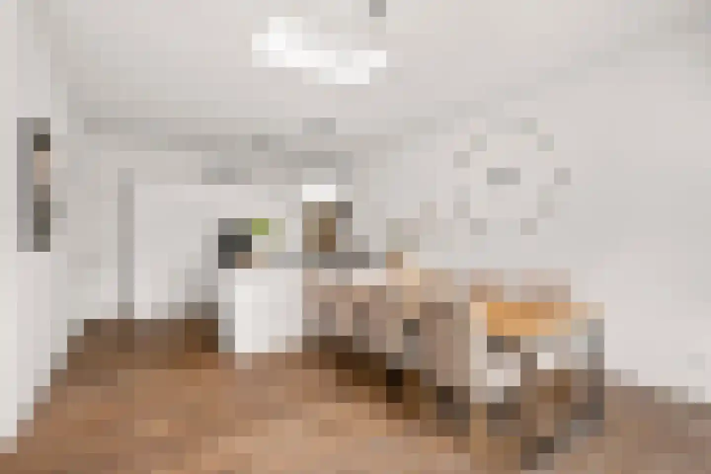 Mecklenburglaan 20 A Utrecht thumbnail 10