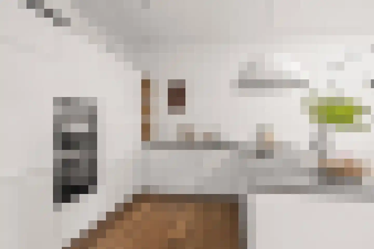 Mecklenburglaan 20 A Utrecht thumbnail 12