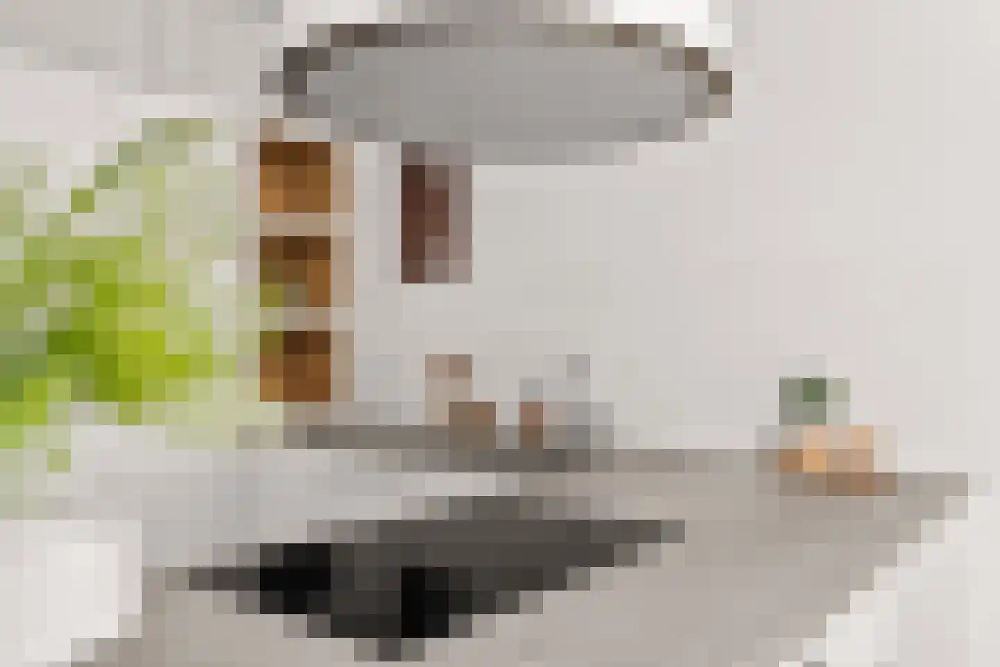 Mecklenburglaan 20 A Utrecht thumbnail 13