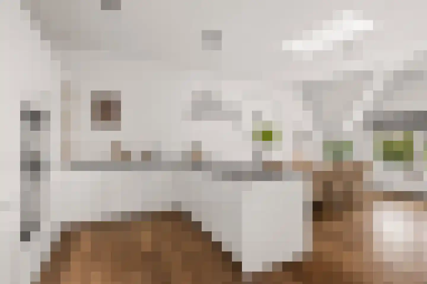 Mecklenburglaan 20 A Utrecht thumbnail 14