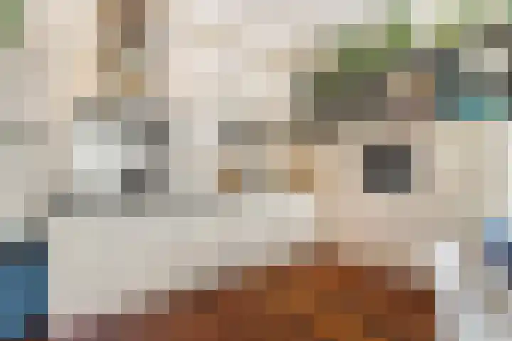 Mecklenburglaan 20 A Utrecht thumbnail 15