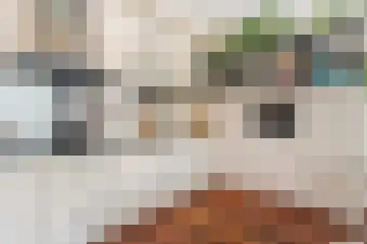 Mecklenburglaan 20 A Utrecht thumbnail 16