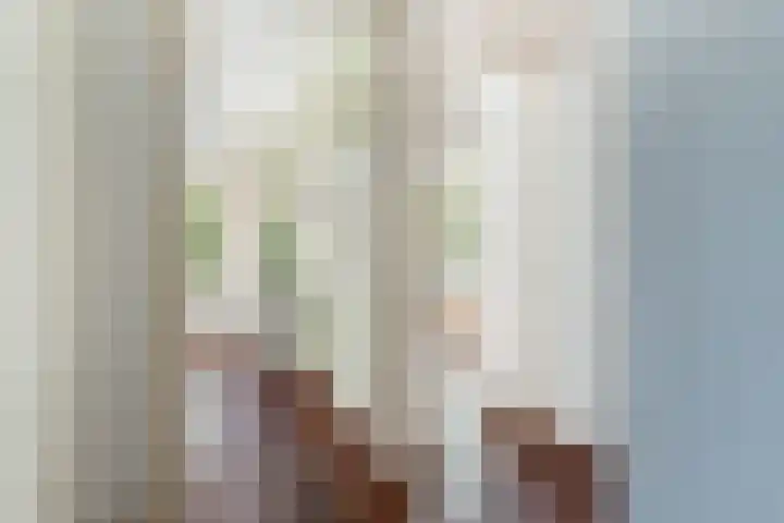 Mecklenburglaan 20 A Utrecht thumbnail 18