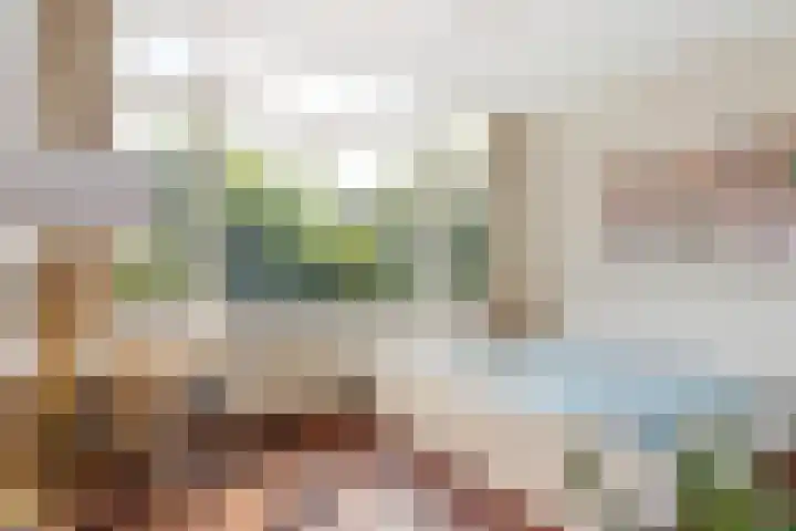Mecklenburglaan 20 A Utrecht thumbnail 19