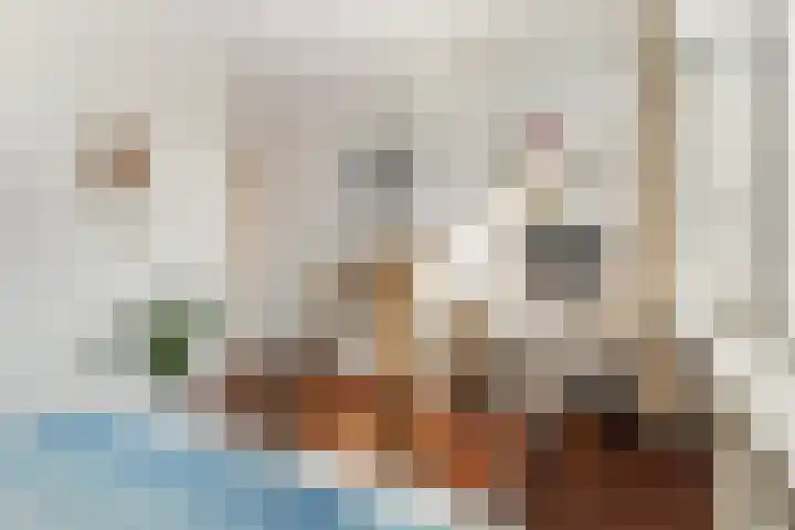 Mecklenburglaan 20 A Utrecht thumbnail 21