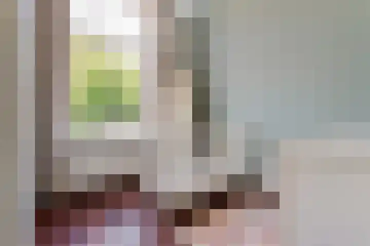 Mecklenburglaan 20 A Utrecht thumbnail 25