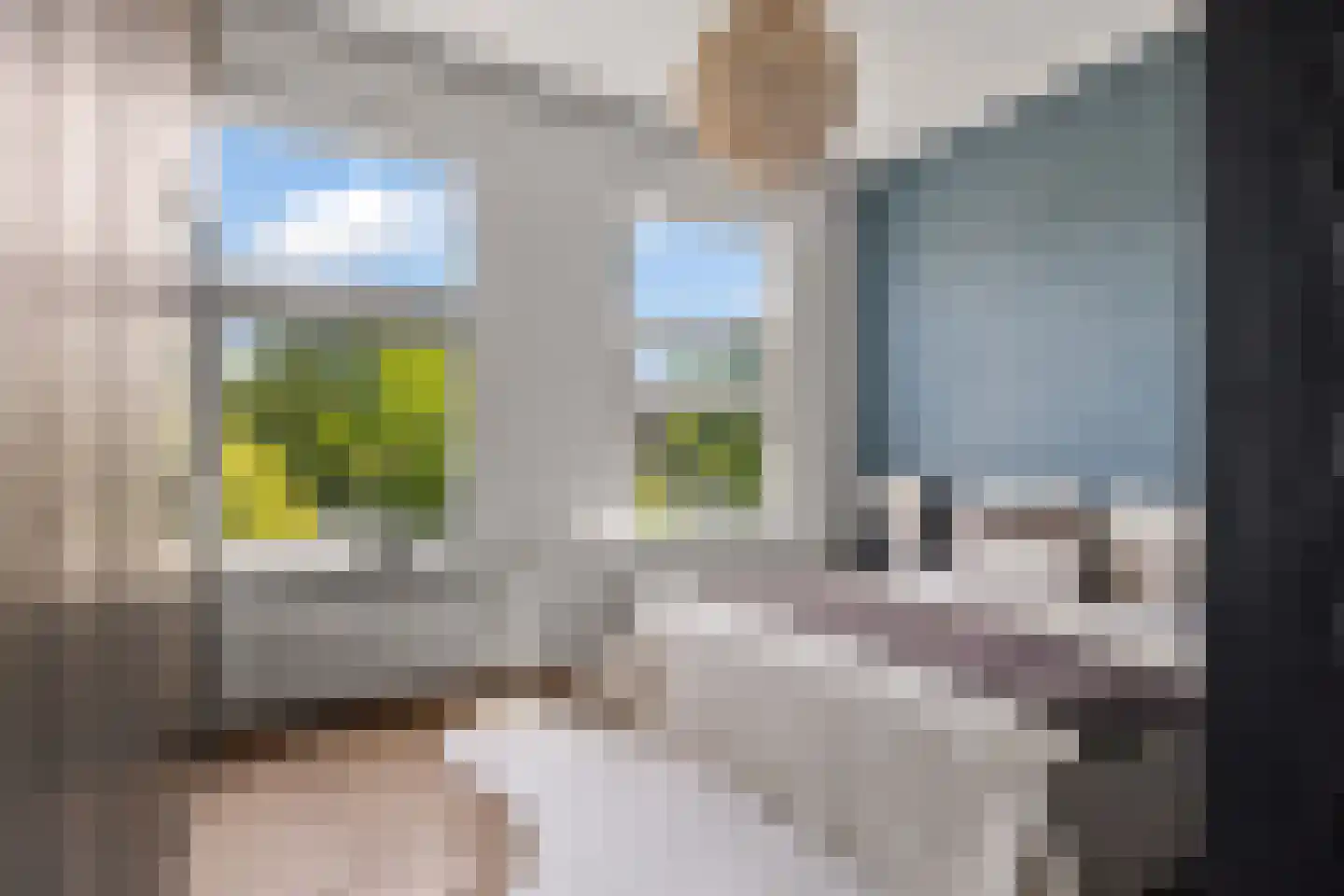 Mecklenburglaan 20 A Utrecht thumbnail 27