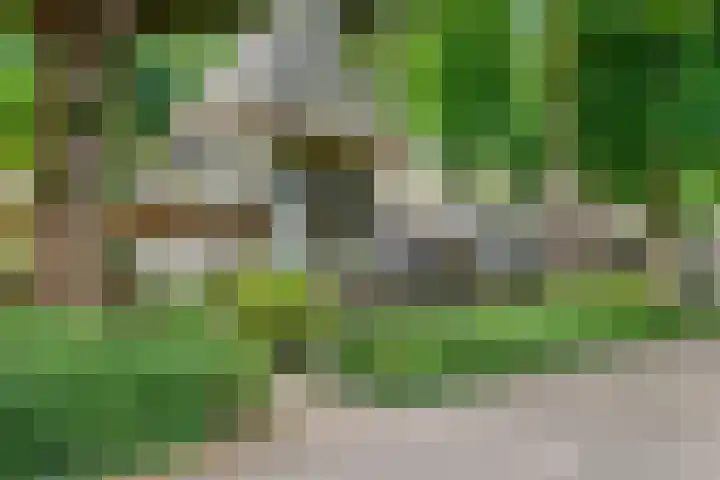 Mecklenburglaan 20 A Utrecht thumbnail 27