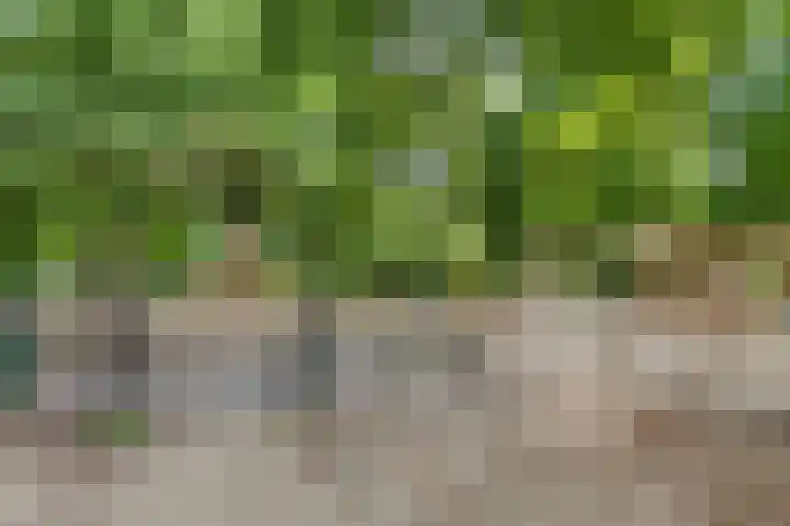 Mecklenburglaan 20 A Utrecht thumbnail 28
