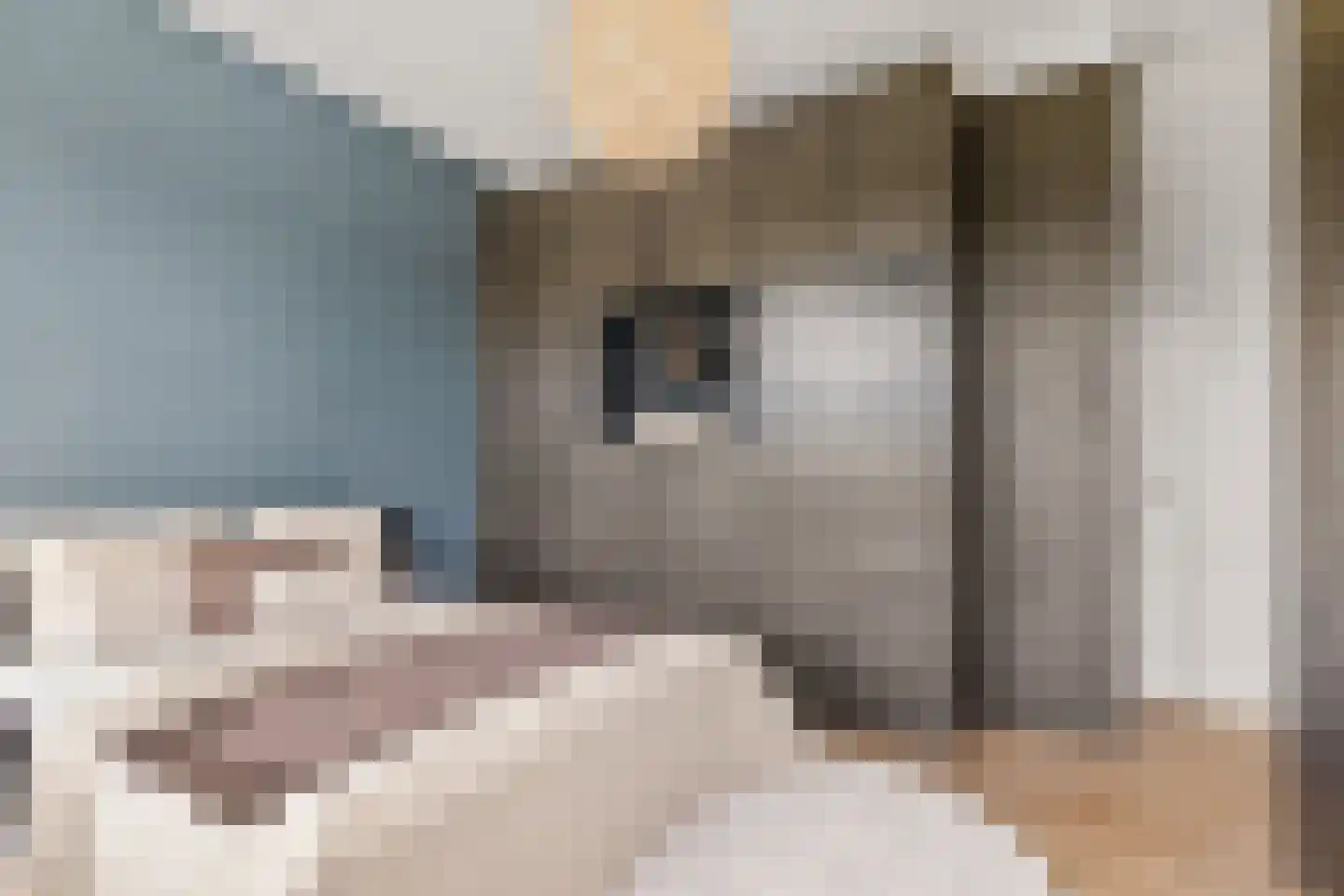 Mecklenburglaan 20 A Utrecht thumbnail 29