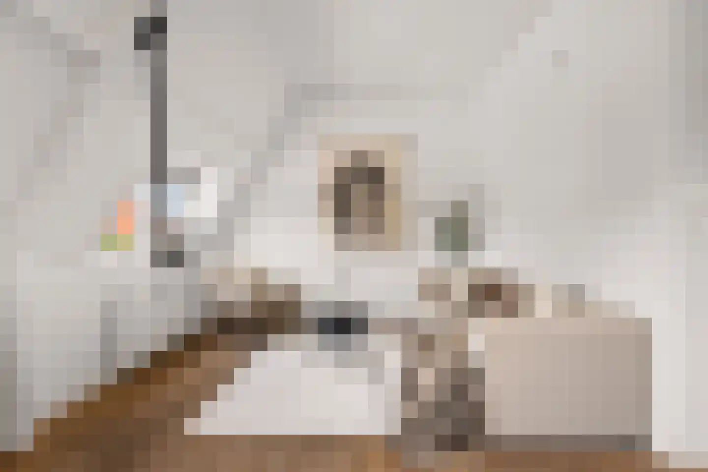 Mecklenburglaan 20 A Utrecht thumbnail 6