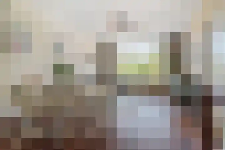 Mecklenburglaan 20 A Utrecht thumbnail 8