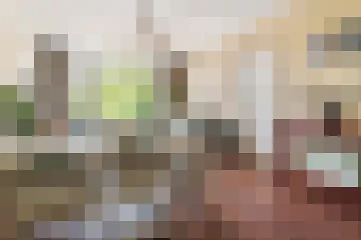 Mecklenburglaan 20 A Utrecht thumbnail 9