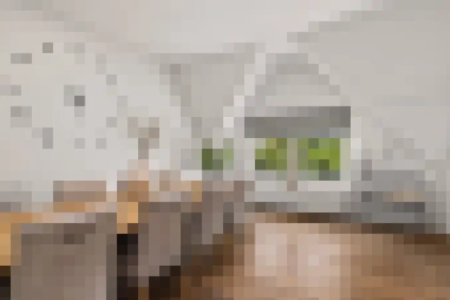 Mecklenburglaan 20 C Utrecht thumbnail 15