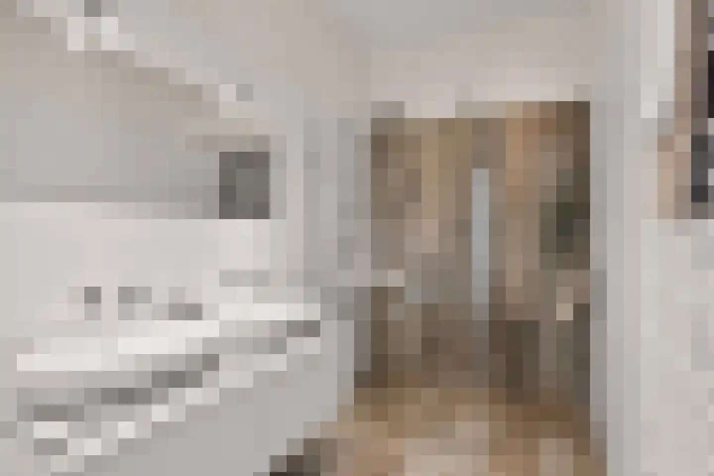 Mecklenburglaan 20 C Utrecht thumbnail 32