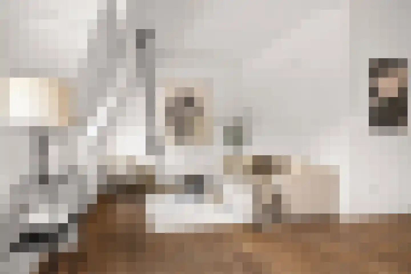 Mecklenburglaan 20 C Utrecht thumbnail 5