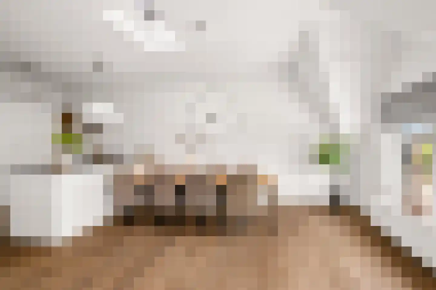 Mecklenburglaan 20 C Utrecht thumbnail 9