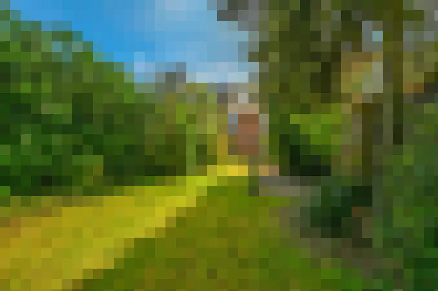 Mecklenburglaan 21 Harderwijk thumbnail 26