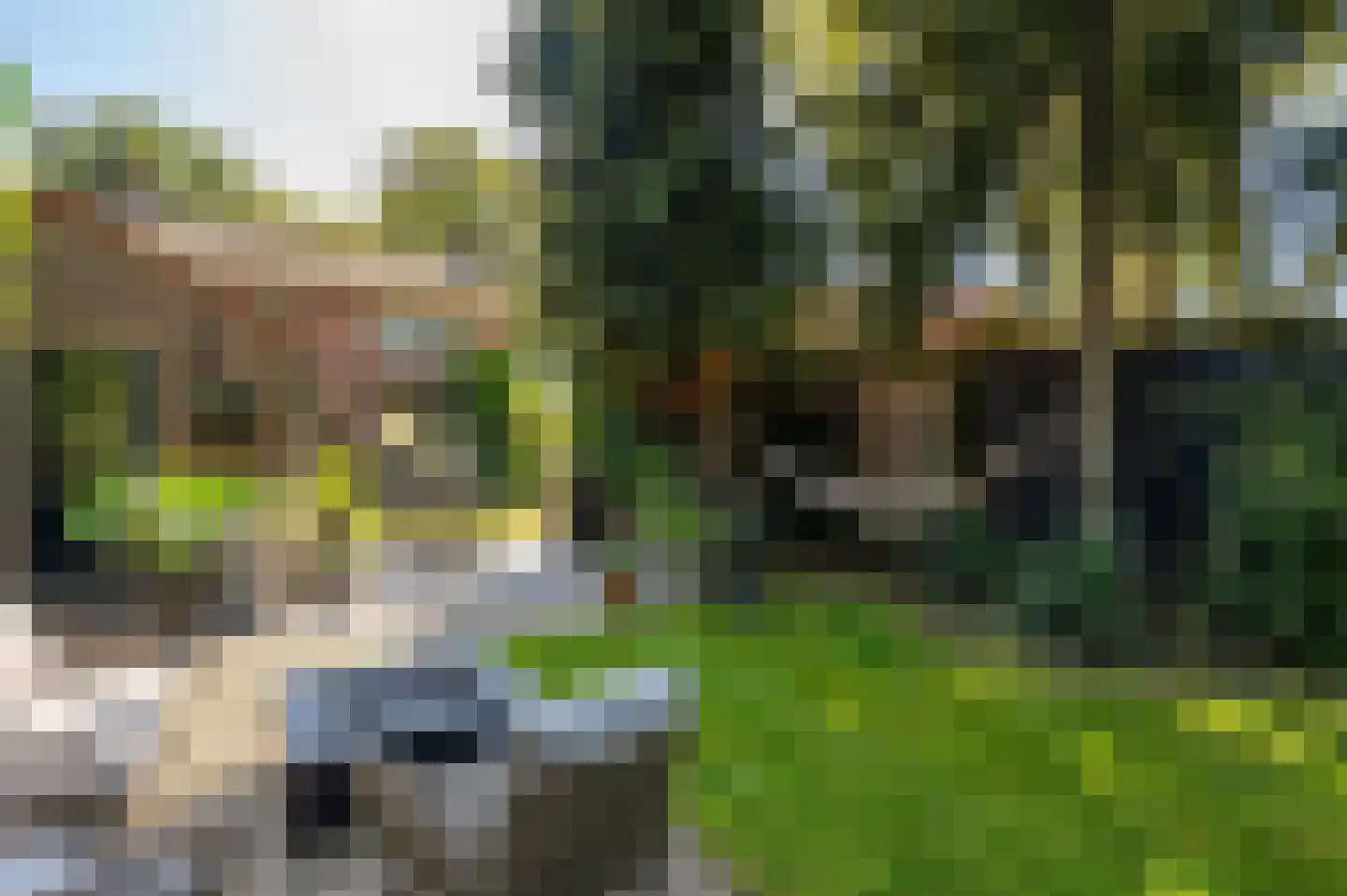Mecklenburglaan 21 Harderwijk thumbnail 29