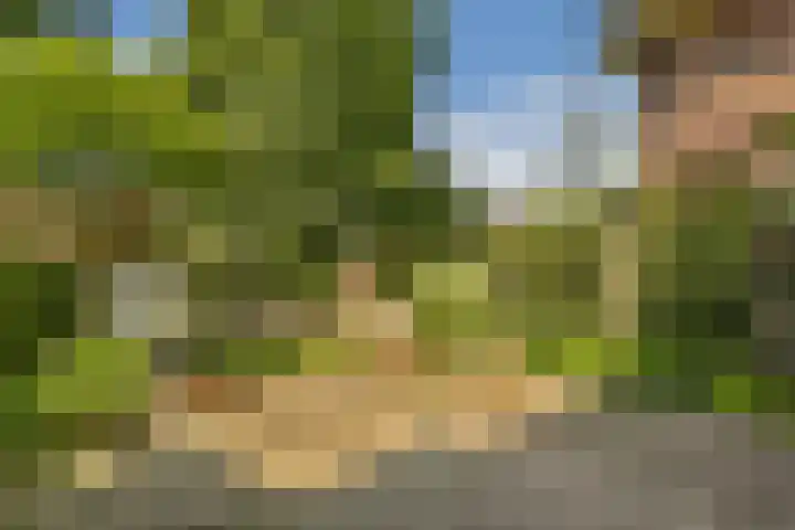 Mecklenburglaan 29 Bussum thumbnail 13