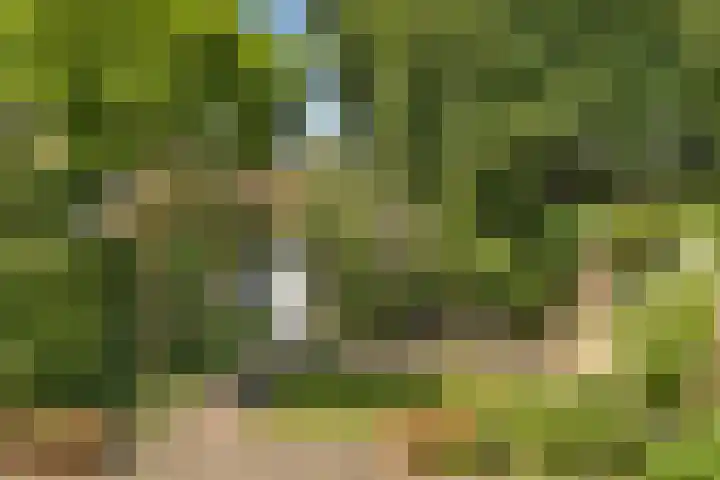 Mecklenburglaan 29 Bussum thumbnail 14