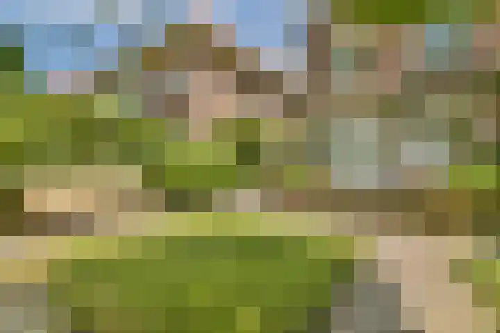 Mecklenburglaan 29 Bussum thumbnail 15