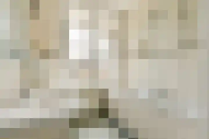 Mecklenburglaan 29 Bussum thumbnail 19