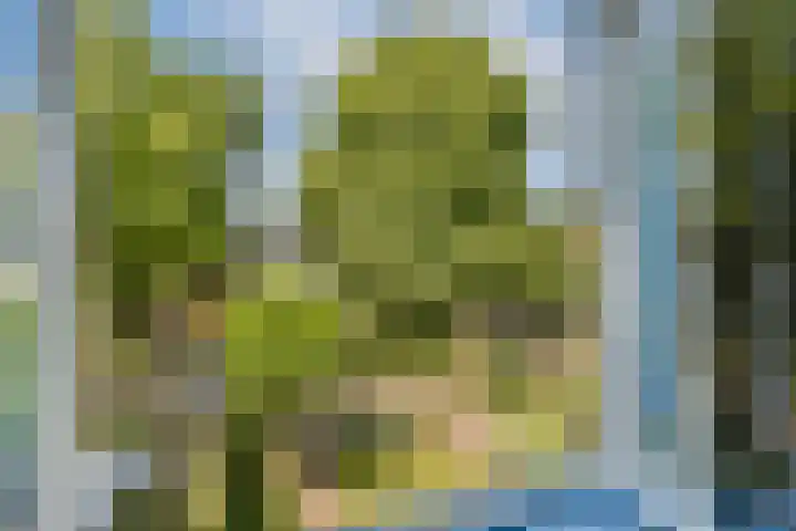 Mecklenburglaan 29 Bussum thumbnail 22