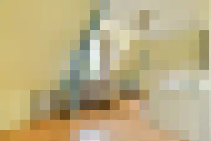 Mecklenburglaan 29 Bussum thumbnail 24