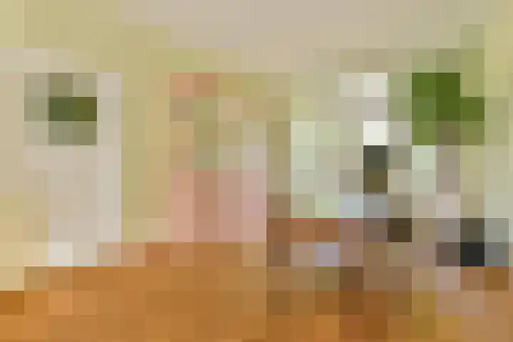 Mecklenburglaan 29 Bussum thumbnail 9