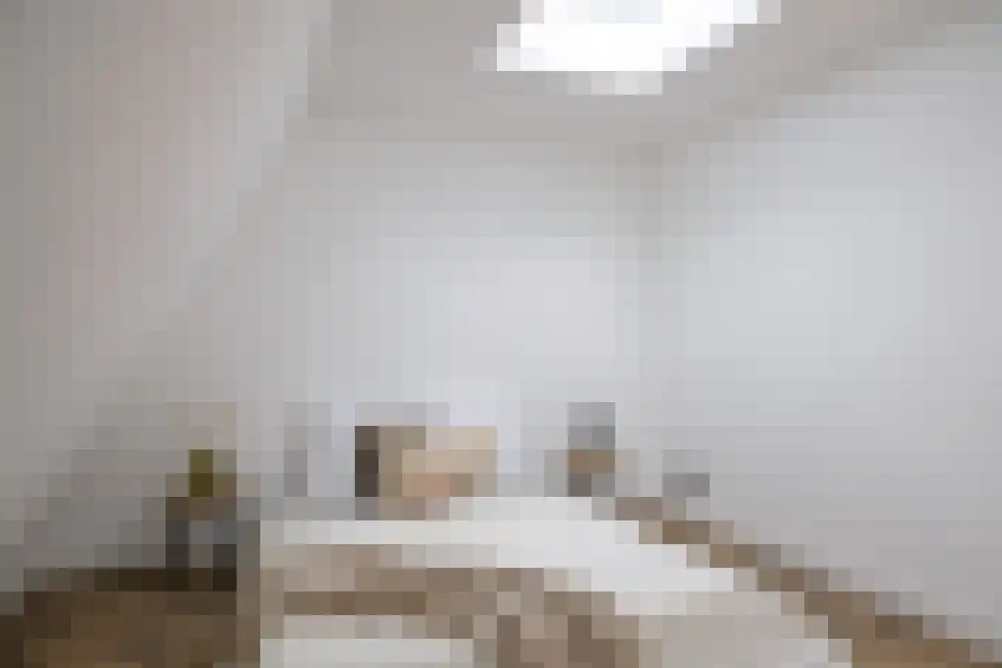 Mecklenburglaan 30 B Rotterdam thumbnail 34