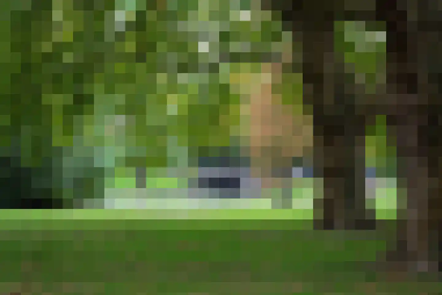 Mecklenburglaan 30 B Rotterdam thumbnail 44