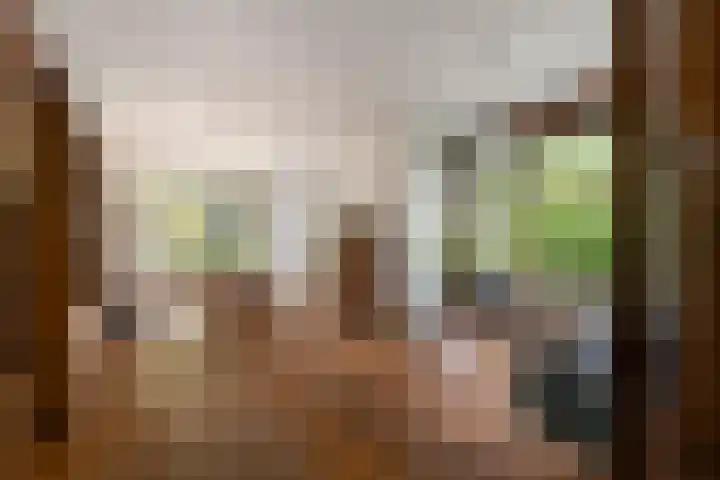 Mecklenburglaan 34 Rotterdam thumbnail 10