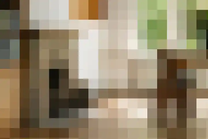 Mecklenburglaan 34 Rotterdam thumbnail 13