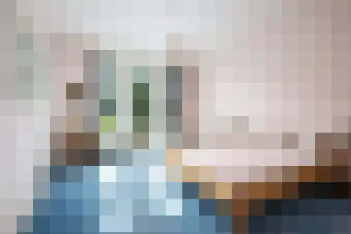 Mecklenburglaan 34 Rotterdam thumbnail 18