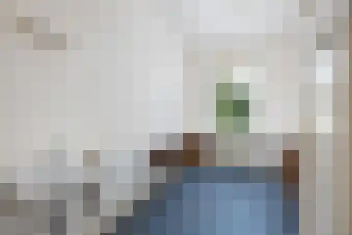 Mecklenburglaan 34 Rotterdam thumbnail 23