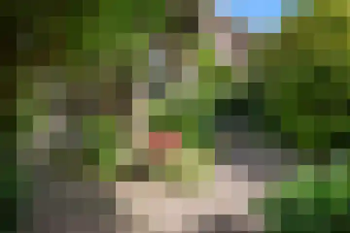 Mecklenburglaan 34 Rotterdam thumbnail 28