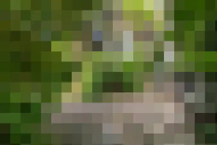Mecklenburglaan 34 Rotterdam thumbnail 29