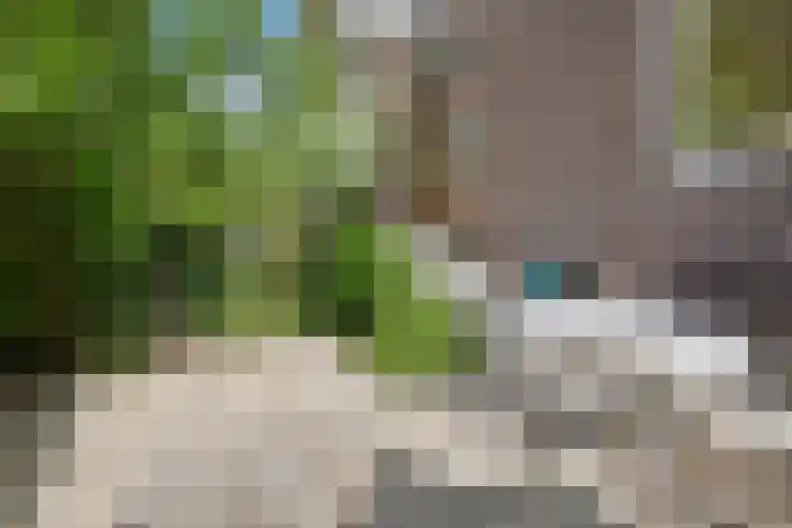 Mecklenburglaan 34 Rotterdam thumbnail 30